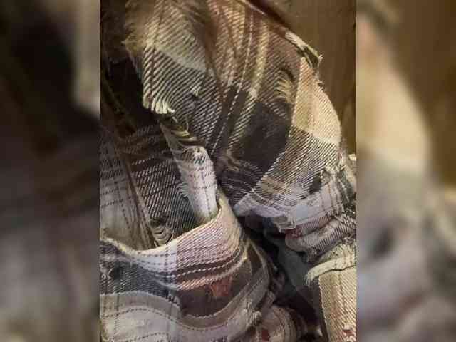 Angel-VICT0RY webcam