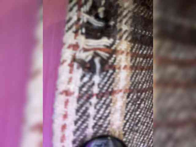 Angel-VICT0RY webcam