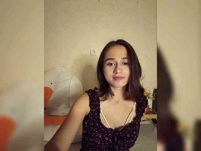 -Pollina- webcam