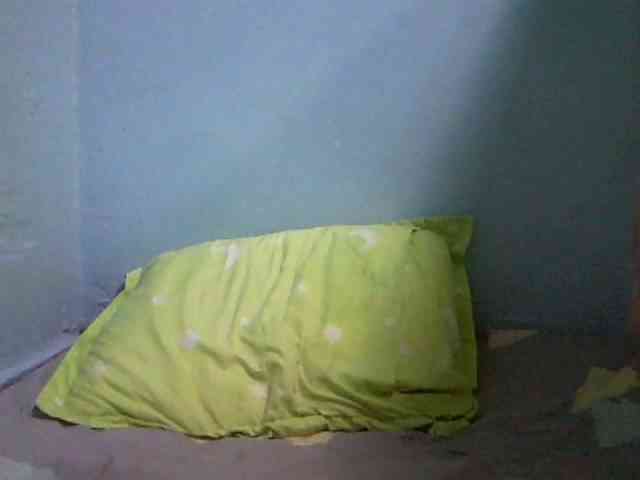 Angelinac webcam