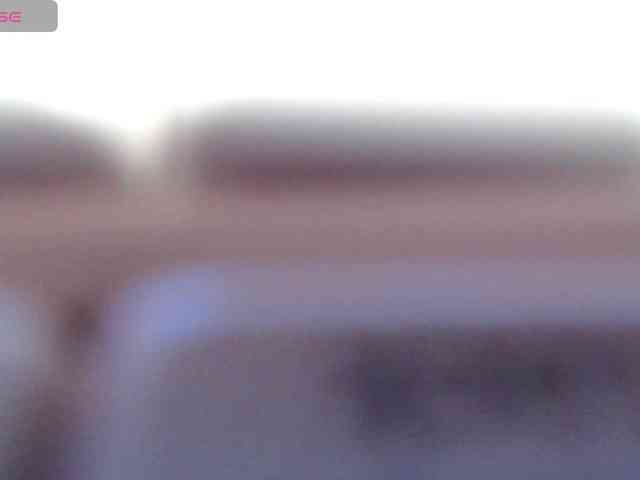 NelleVanile webcam