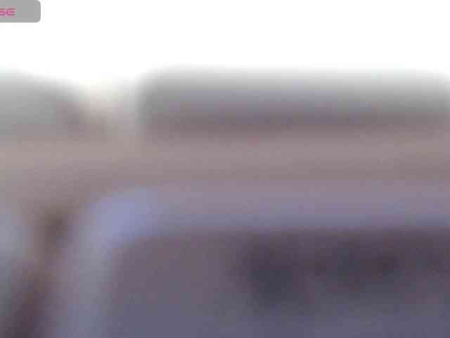 NelleVanile webcam