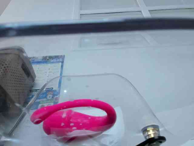Mariam-Arango webcam