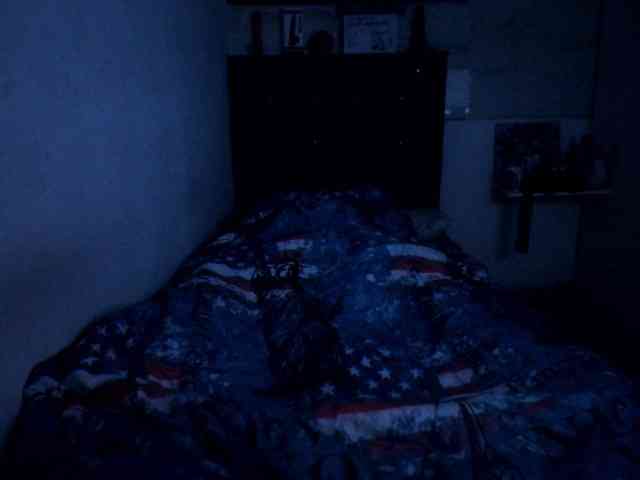 david-and-mell webcam
