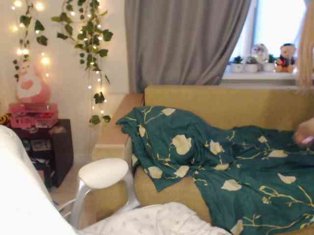 LavinellsX webcam