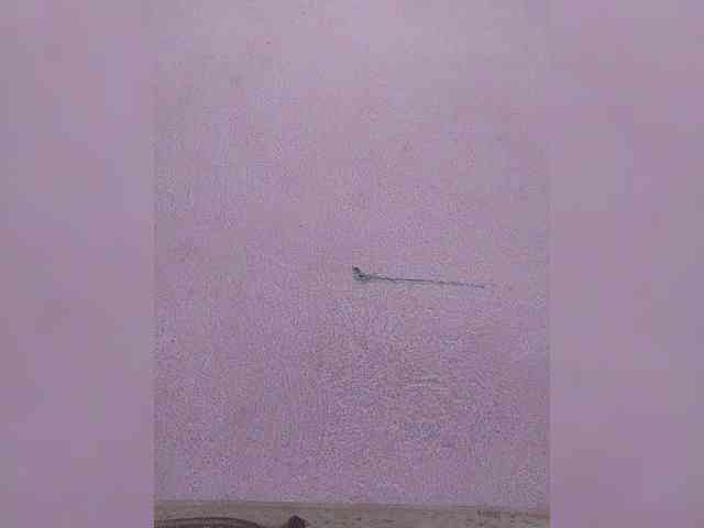 HotchocoGirl HotchocoGirl