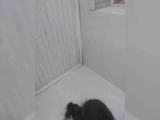 HotchocoGirl HotchocoGirl