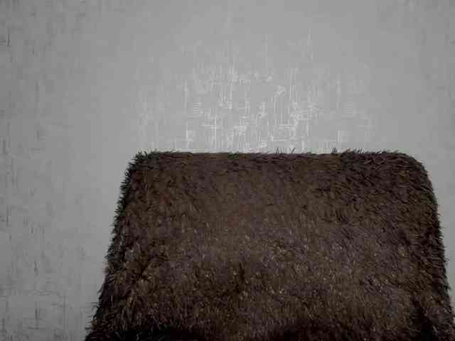 JuliaGramm81a webcam