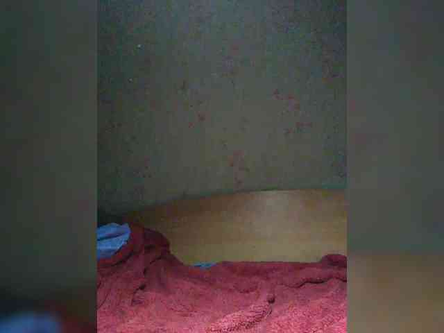 Nikt-1a webcam