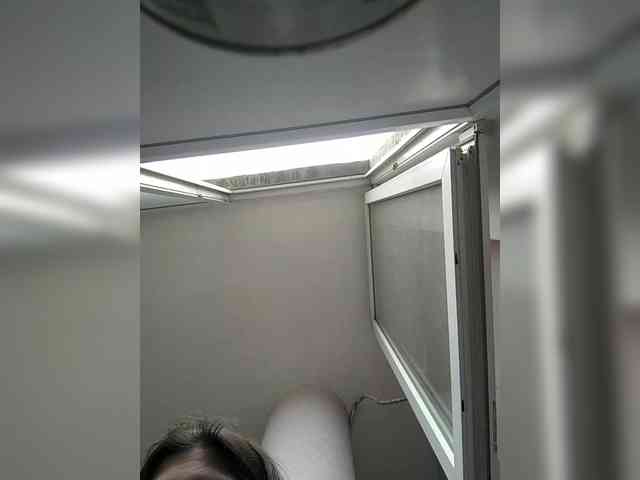 Nikt-1a webcam