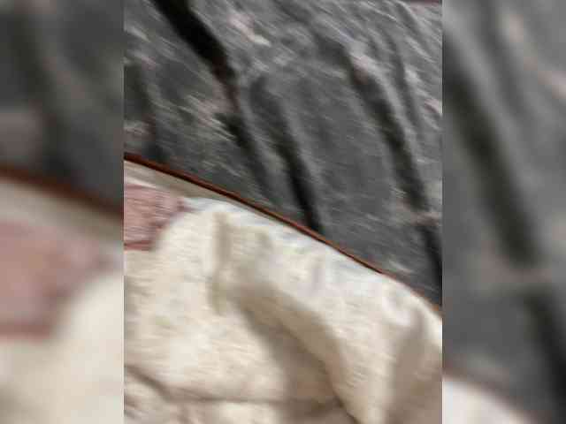 Serilk228a webcam
