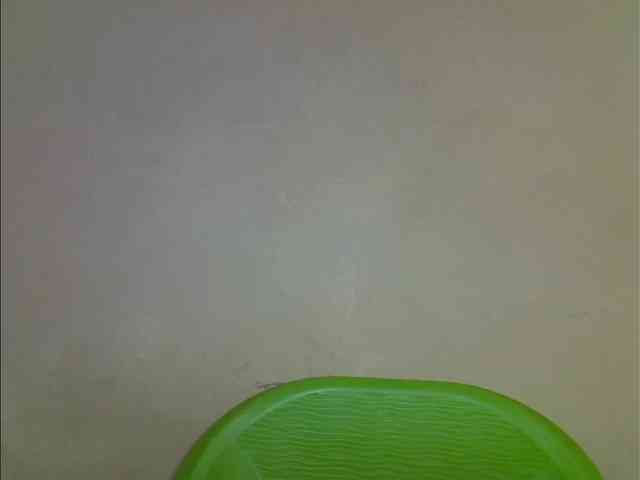 Emilylove1 webcam
