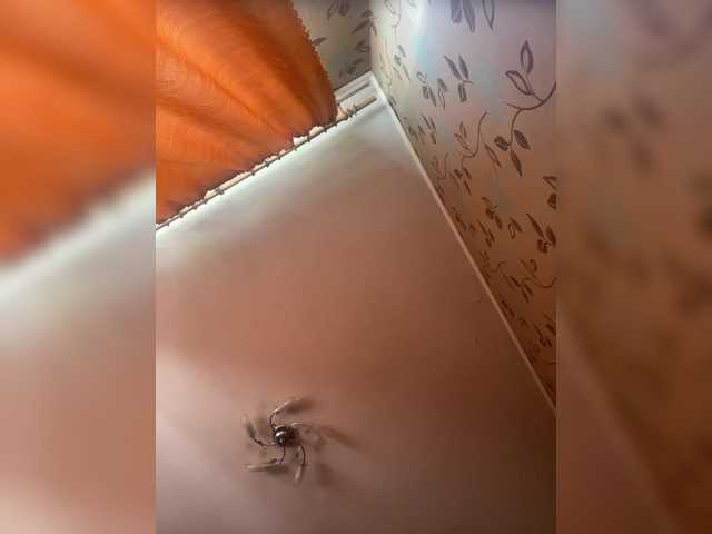 trulalalameow