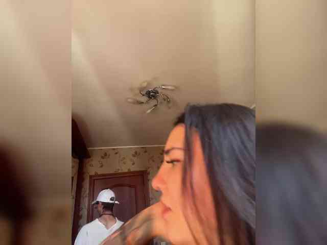 chat webcam porn Trulalalameow