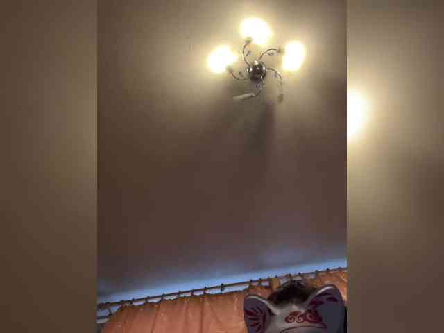 pietstop webcam