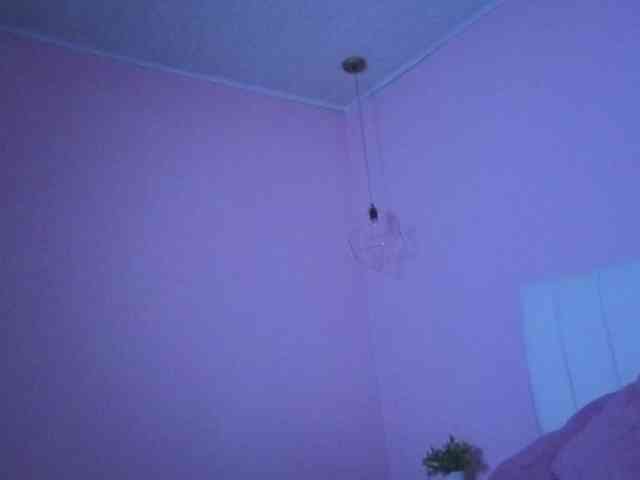 ammy-gate webcam
