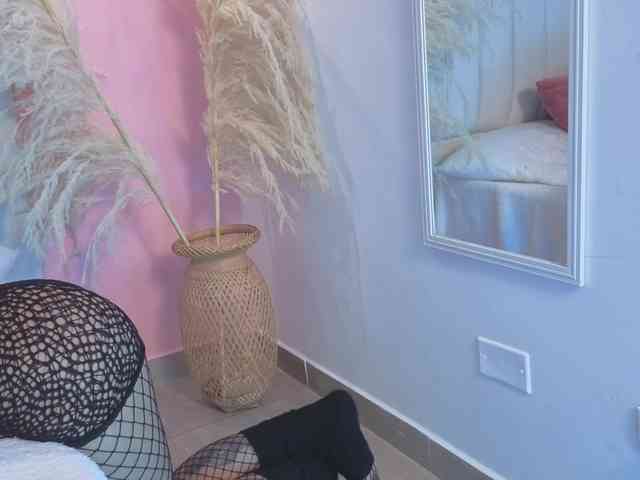 ammy-gate webcam