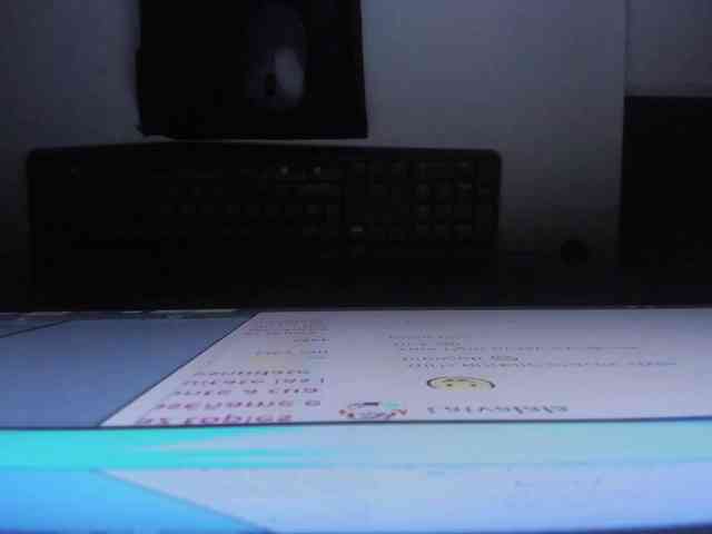 ammy-gate webcam