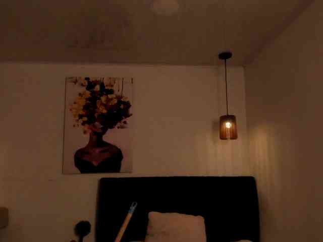 ammy-gate webcam