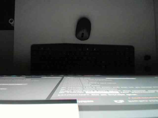 ammy-gate webcam