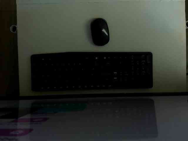 ammy-gate webcam