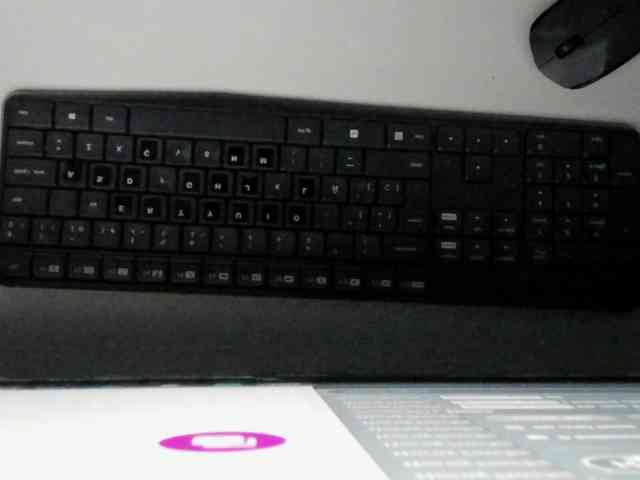 ammy-gate webcam