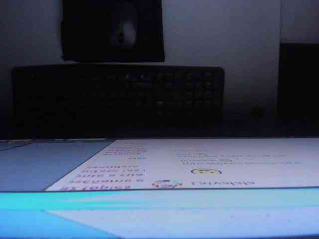 ammy-gate webcam