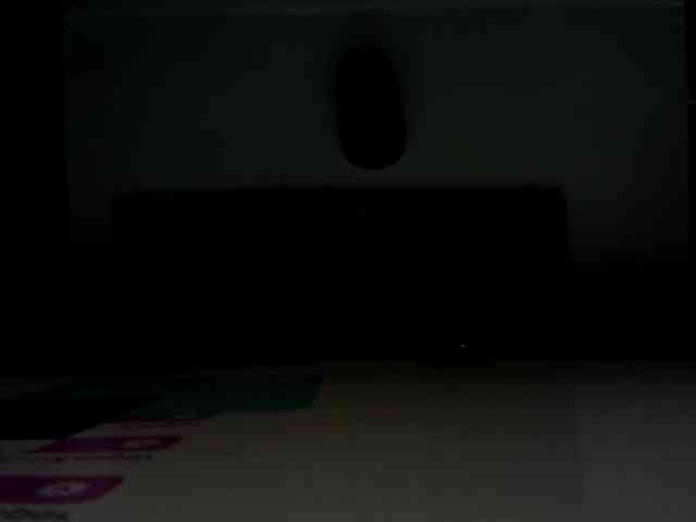 ammy-gate webcam
