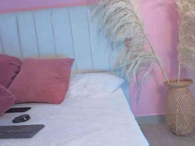 ammy-gate webcam