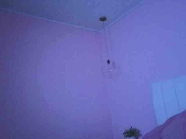 ammy-gate webcam