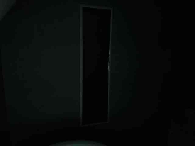 ammy-gate webcam
