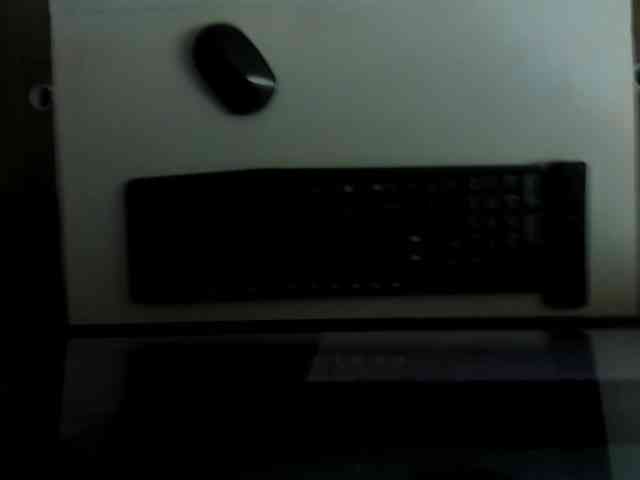 ammy-gate webcam