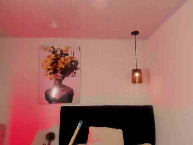 ammy-gate webcam