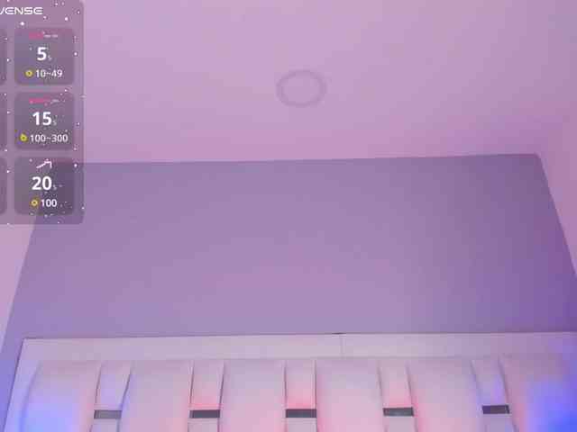 BellaSaint webcam