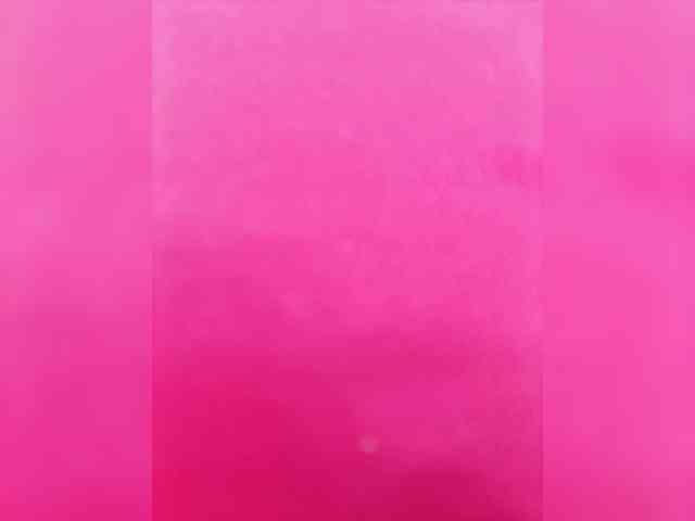BellaSaint webcam