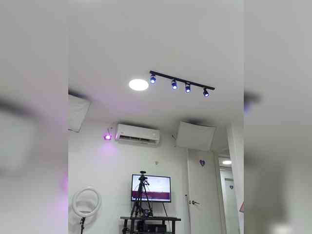 BellaSaint webcam