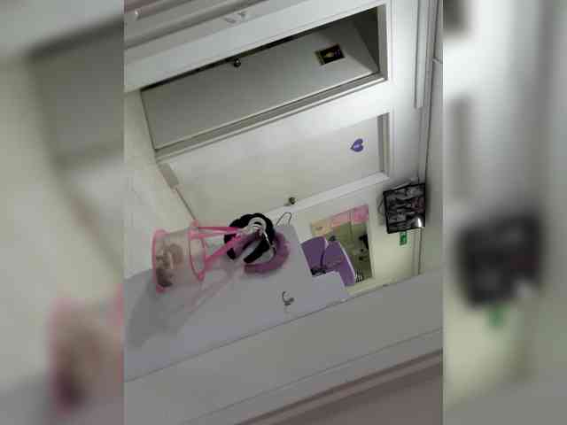 BellaSaint webcam
