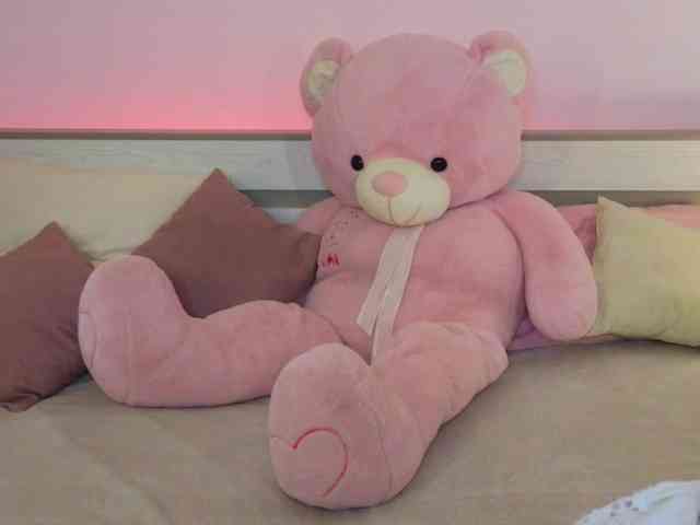 Liramoonn webcam