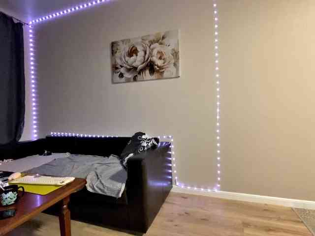 AliceSergio webcam
