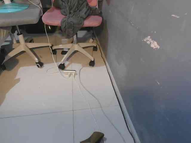sweetiepiee webcam