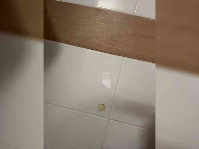 Millashaa webcam