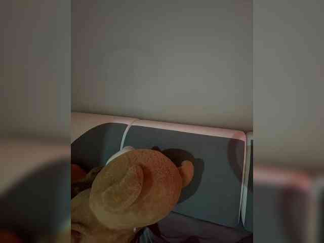 Millashaa webcam
