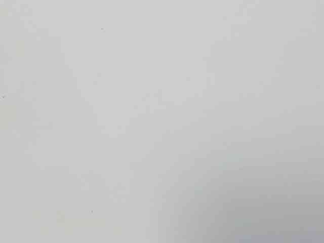 NaomiEmber webcam