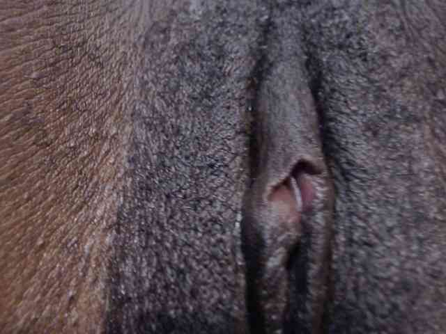 LucyWyild webcam