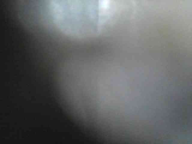 LucyWyild webcam