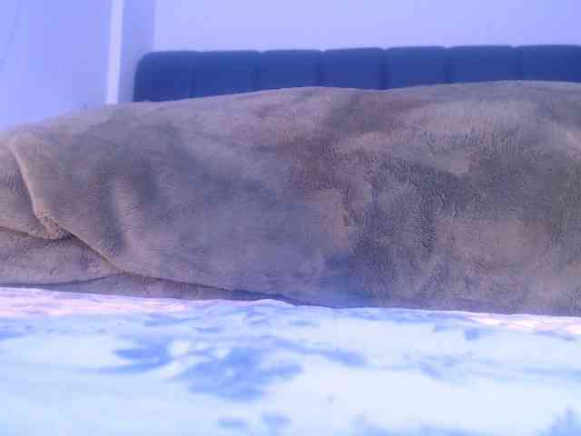 LucyWyild webcam