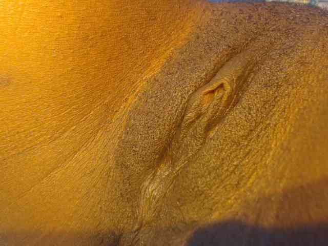LucyWyild webcam