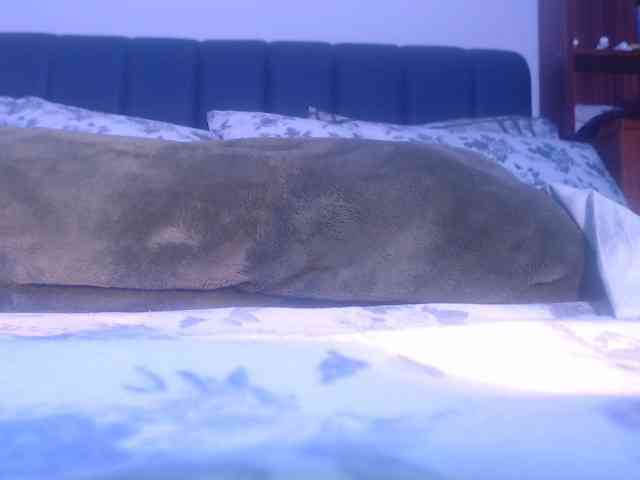 LucyWyild webcam