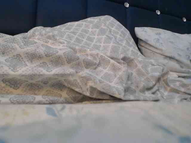 LucyWyild webcam