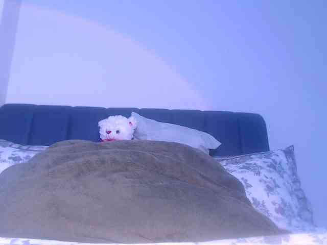 LucyWyild webcam